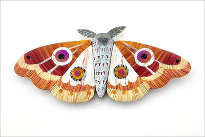 Bishoff.polymer moth